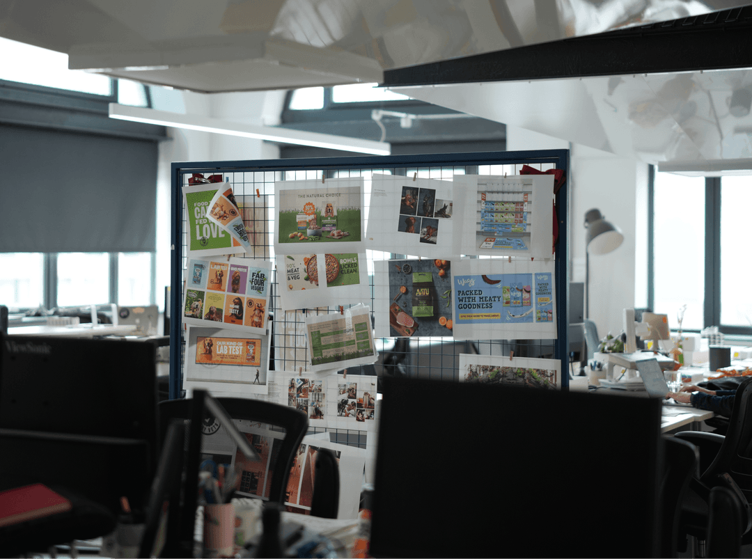 A printed IMA brand brochure resting on a wooden surface with a blurred green plant in the foreground.