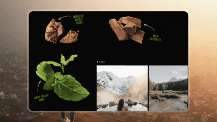 Educational graphic showing raw ingredients like mint and chocolate used in Nuii ice cream products.