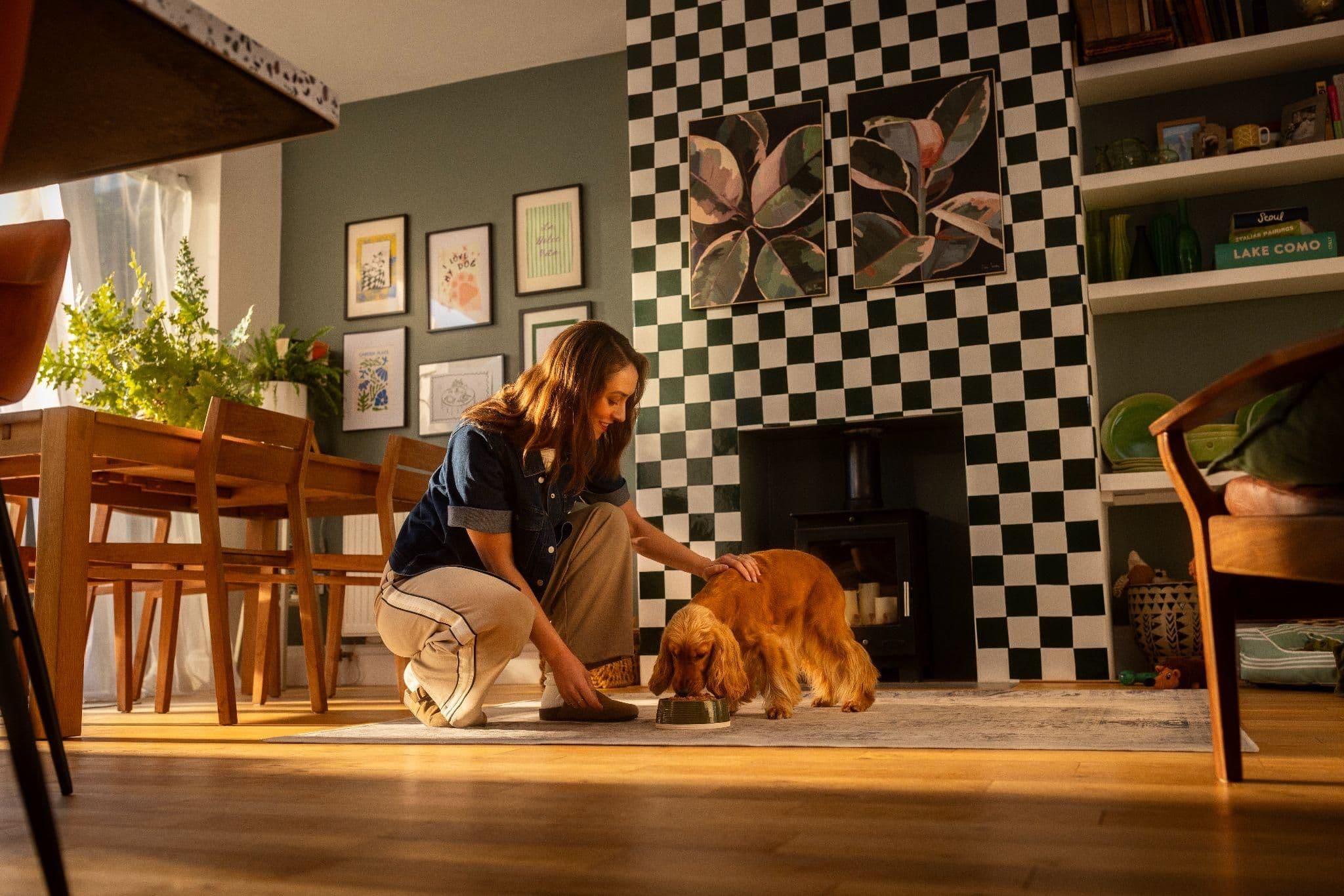 Woman petting a Cocker Spaniel eating from a bowl on a rug in a modern living room with a checkerboard fireplace.